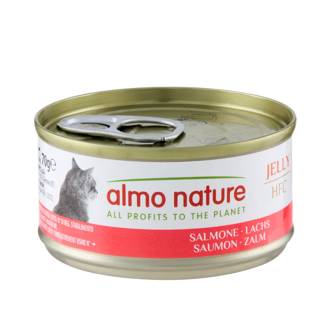 Almo Nature HFC Jelly - Nourriture Humide pour Chats - Saumon - 70g, Lot de 6