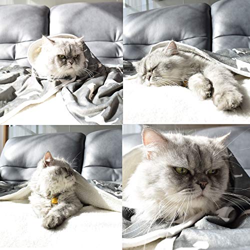 LUCKITTY Double Thickening Small Dog Blanket,Super Soft Warm Sherpa Fleece Plush Washable Cat Pet Throws for Couch, Car… - Image 8