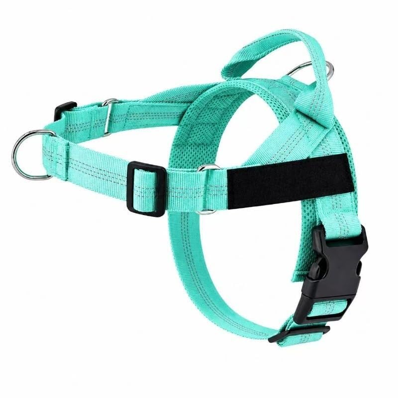 Paropet No Pull Dog Harness No Pull Harness For Dogs Dog Harness No Pull Breathable Adjustable Vest For Small Medium Large Dogs, Reflective Trim For Evening Walks(Turquoise,XL)