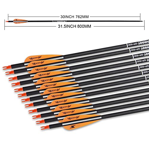 E5E10 12Pcs 31Inch Carbon Arrow For Compound & Recurve Bow And 12Pcs 100 Grain Hunting Broadheads #TOP5