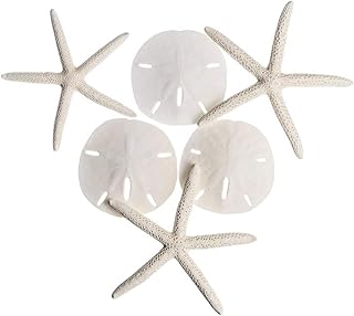 White Starfish and Sand Dollars Set of 6-3 White Finger Starfish 4"-6" and 3 Sand Dollars 3"-3.5" - Real White Starfish and Sand Dollars for Beach Décor and Crafts