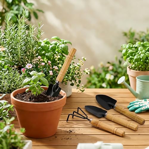 Mini set de herramientas para jardín con mango de madera miniatura 5
