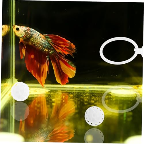 Set de entrenamiento y biofiltración para pez Betta miniatura 5
