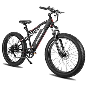 Hiland 26 inch Fat Tire mountainbike, Shimano 7 Speed Fat Bike, dubbele schijfrem, volledige vering mountainbike voor mannen en vrouwen