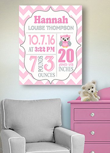Personalized Stretched Canvas Birth Announcement Gift, Custom Baby Name, Date, Weight Stats, Newborn Nursery Owl Wall Art Decor, Wooden Frame Construction, Ready to Hang 20X24