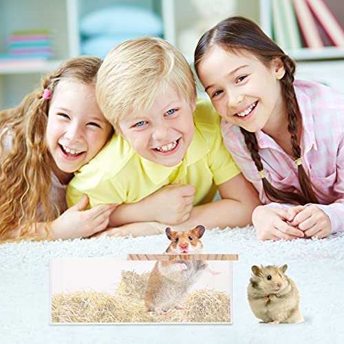 POPETPOP 1 St Hamster Zandbak Reptielenzand Voor Hamsters Hamster Bad Hamster Zandbad Hamster Badkamer Kleine Huisdier Potje Hamster Bad Container Acryl Ondersteek Sprei - Image 8
