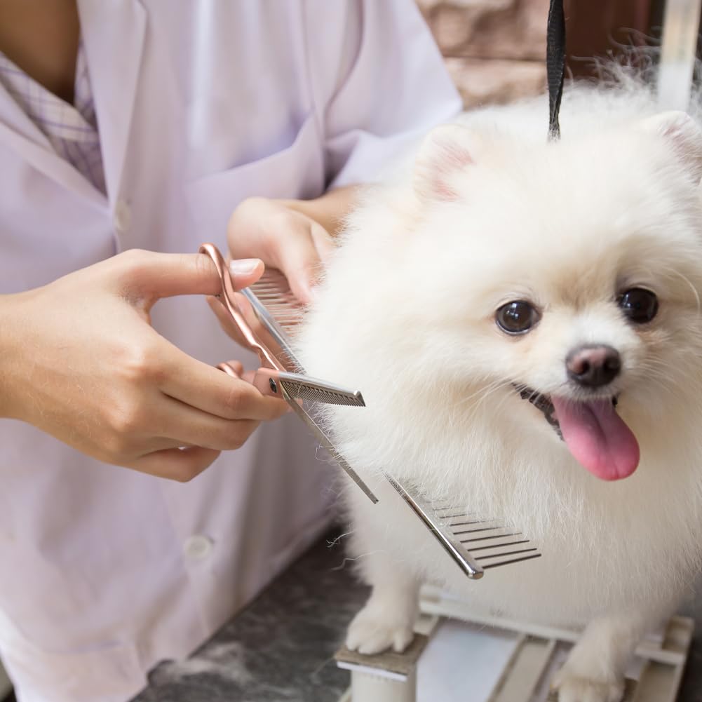 Pet Grooming Scissors Set - Image 2