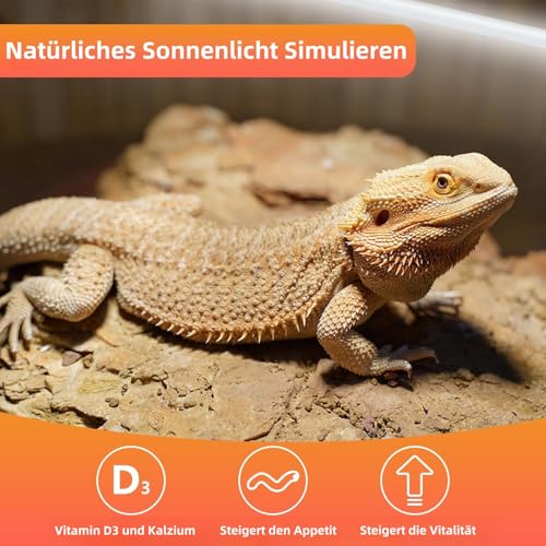 REPTI HOME UVB Lampe Terrarium, T5 UVA UVB Lampe Reptilien 24W-2stück, Leuchtstoffröhre T5 UVB 10.0 56cm, Terrarium Lampe UVB für Reptilien, Schildkröte, Bartagamen, vögel