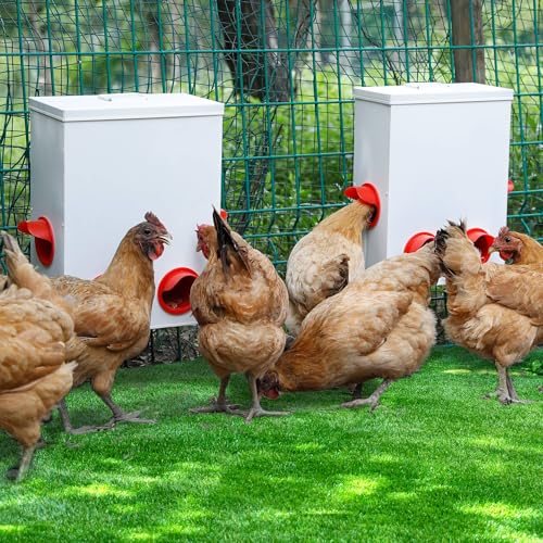 JonesHouseDeco 2 Ensembles Mangeoires Poules Automatiques à Gravité Suspendues de15 / 20LB, Portabilité Acier Galvanisé Distributeur de Convient Aux Poulets et à la Volaille avec Couvercle étanche