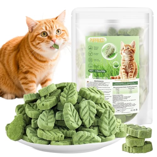 Katzengras Snacks, Gefriergetrocknet Katzengras für Katzen, 50g Katzengras Fertig Gewachsen für die Zahnpflege, Katzengras Sticks Haarknäuel...