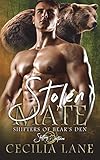 Stolen Mate (Shifters of Bear's Den)
