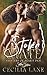 Stolen Mate (Shifters of Bear's Den)
