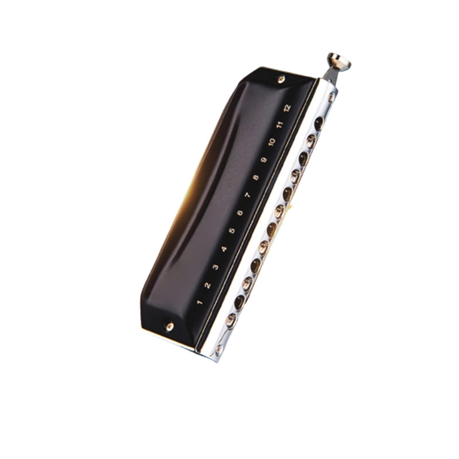 Harmonica Blues Harmonica Chromatique 12 Trous