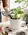LE TAUCI Ceramic Plant Pots, Pots for Indoor Plants, Planters with Drainage Hole and Saucer, Flower Pots for Succulent, Snake Plants and Cactus, Set of 2