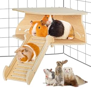 OiiBO Guinea Pig House Hideout, Wooden Guinea Pig Platform with Stairs, Small Animal Bed Castle Habitats for Hamsters Bunny Chinchillas Playing & Sleeping Hut (Triangle)