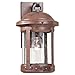 Sea Gull 8440-44 13-1/2-Inch Weathered Copper Outdoor Wall Light