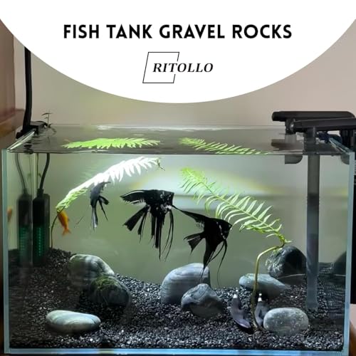 Image of RITOLLO 2.5lb Black Pebble Rocks 3 /8-1 Inch Polished Natural Aquarium Gravel Decorative Fish Tank Rocks Garden Landscaping Decor