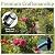 Garden Obelisk Trellis for Climbing Plants Outdoor | 64 Inch Rustproof Plastic Coated Mushroom Top Trellis for Potted Plants, Vines, Roses, Clematis