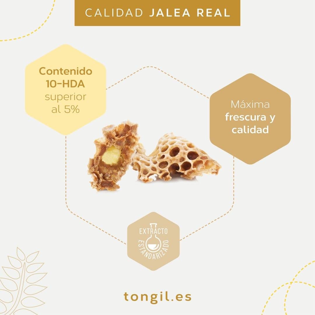 Apicol Jalea Real Liofilizada 20 viales de 1000mg de Tongil - Contenido Garantizado en mín. 5% 10-HDA, Ácido Graso Exclusivo y Parámetro Revelador de su Rrescura y Calidad | de Tongil