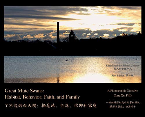 Great Mute Swans: Habitat, Behavior, Faith, and Family--A Photographic Narrative