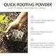 100g wurzelaktivator, Rapid Rooting Powder, belebt und stärkt das Wachstum von Pflanzen und Wurzeln, Bewurzelungspulver für stecklinge - Indoor & Outdoor,Wurzelstimulator