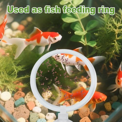 Image of 2 Pcs Betta Fish Exercise Ring and Betta Mirror Set,Betta Ring Enrichment Toys,Betta Toys Suitable for Fish Tank, Betta Tank, Betta Aquarium