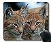 APSRA Podkładka pod mysz do gier z motywem niestandardowego projektu, ryś duże koty twarz oczy 72168 antypoślizgowa gumowa podstawa podkładka pod mysz-18651