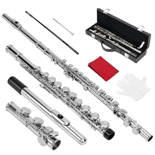 16 Furos Flauta Transversal (Mala), Kit Flauta Transversal Prateada Dó, Furos Flautá Transversal