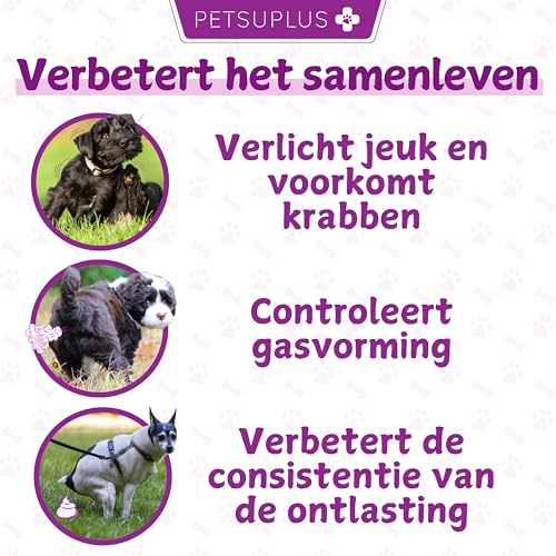Probiotica Hond – Honden Supplementen – Ondersteunt de spijsvertering en draagt bij aan een gezonde darmbalans - Afbeelding 4