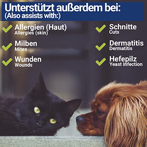 BMUT 1x 100ml Kolloidales Silberspray für Haustiere – Hund, Katze, Pferd – Wundspray – Gegen Juckreiz– Milben – 40 ppm