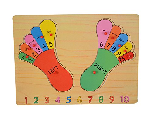 Image of Foot Premium Wooden Puzzle /Educational Toy with Knobs for Children