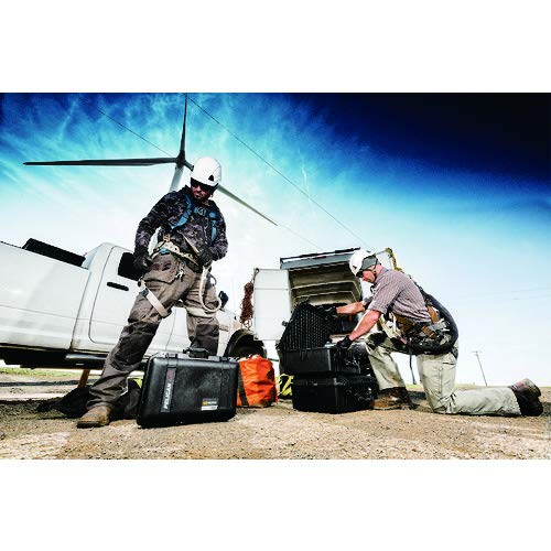 Amazon.co.jp: PELICAN(ペリカン) 1485 エアケース ブラック