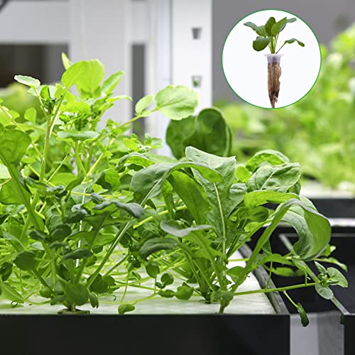 Alphatool 100 Pack Plant Seed Starters Sponges Compatible Seed Grow Pod