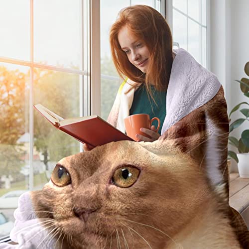 Couverture en peluche chats pour couple en microfibre douce TBOUOBT - 7