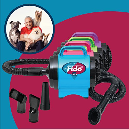 Image of B-Air BA-FM-1-PR Fido Max 1 Dog Dryer Premier Grooming Collection, Purple Ribbon Pack