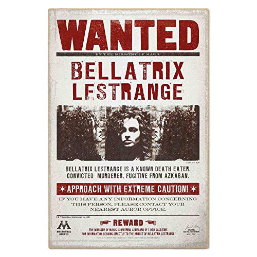 Poster bois Harry Potter Bellatrix Lestrange pour mur chambre