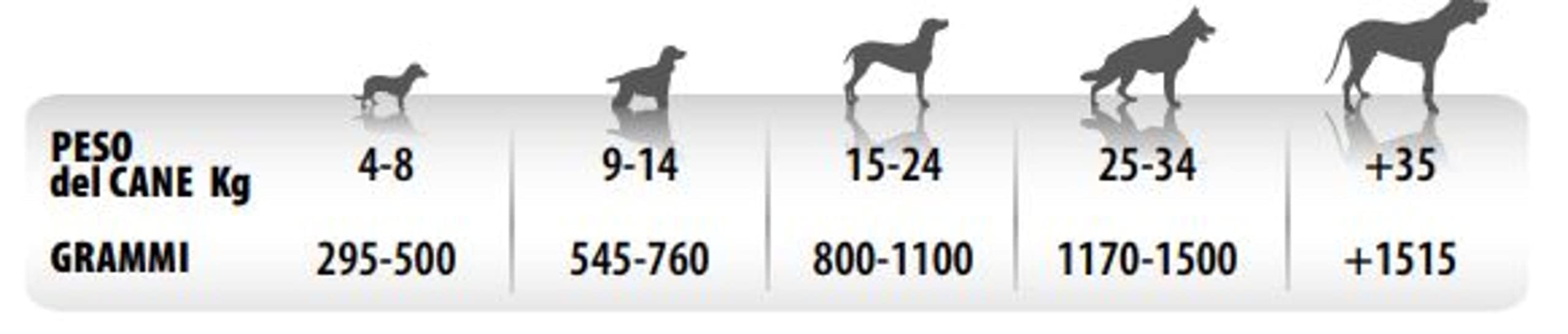 Monge Monoprotein Cibo umido per Cane solo Maiale, naturalmente senza coloranti, conservanti e zuccheri aggiunti. Confezione da 24 vaschette (1 = 150gr.)