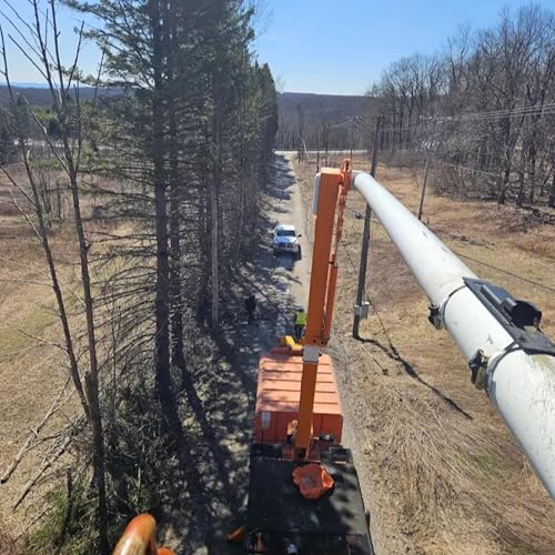Page de couverture de AC-PRO Tree Service, LLC