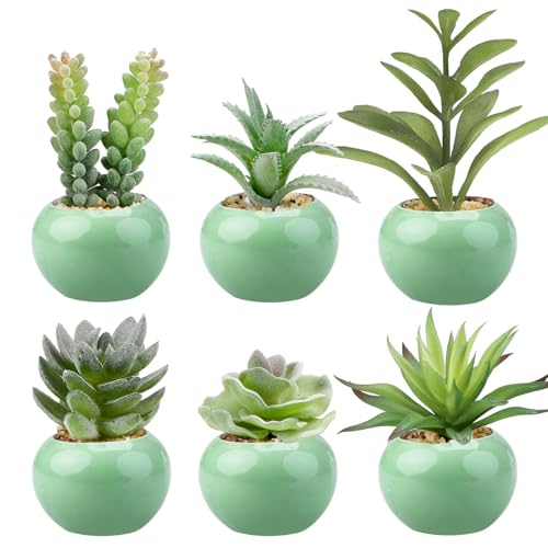 GREENTIME 6 Pcs Small Artificial Succulent Plants Bulk in Ceramic Pots Mini Fake Succulent Plant Faux Indoor Decor Graduation Decorations Bedroom Desk Bathroom Office Living Room Table Shelf