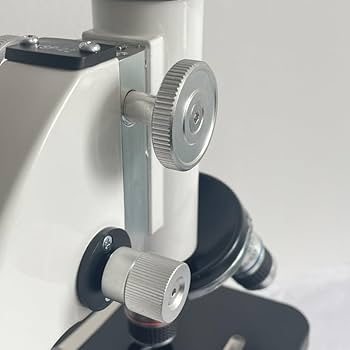 小物 bio 大自然をイメージさせる美しいグリーンセラミックケース