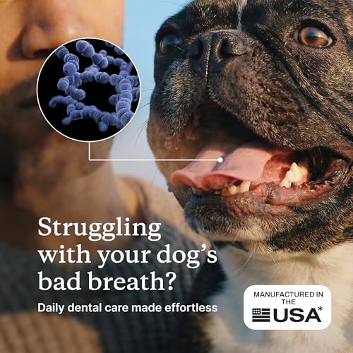 Image of PetLab Co. ProBright Dental Powder - Dog Breath Freshener - Teeth Cleaning Made Easy - Targets Tartar & Bad Breath - Formulated for Large Dogs - Packaging May Vary