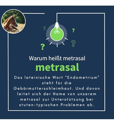 navalis metrasal Breeding Pellets | 1 kg | Ergänzungsfuttermittel für Pferde | Zur Unterstützung der Zyklusaktivierung nach dem Winter & Vorbereitung von Stuten auf die Decksaison