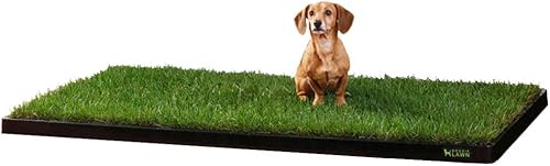 Miniatura 8 de DoggieLawn Orinal desechable para perros hierba real XL
