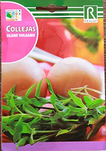 Rocalba Semilla Collejas Cover