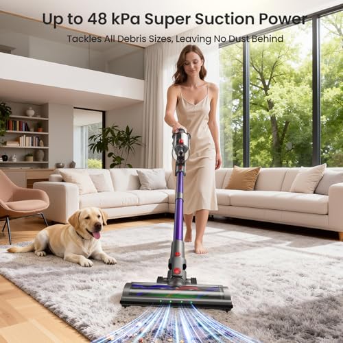 Cordless vacuum cleaner brush and filter detail