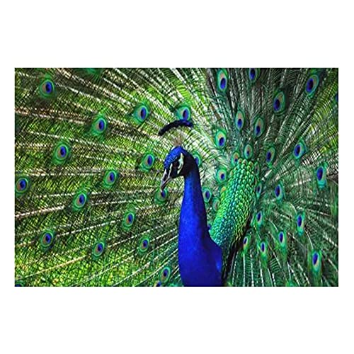 Peinture Diamant Paon Bleu Grand Format 60x120cm pour Sublimer la Décoration de Votre Salon
