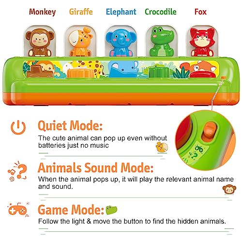 Duchong Toys for 1 Year Old, Pop Up Toys for Girls and Boys,Montessori Cause and Effect Toys for Baby 6 7 8 9 10 11 12 Months, Christmas Birthday 1st Gifts - Image 3