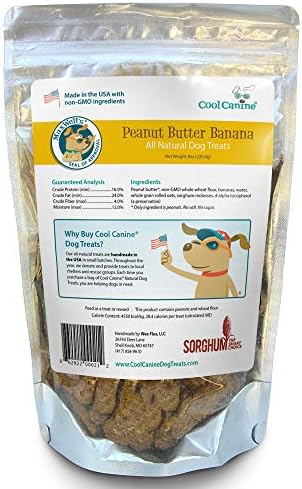 cool canine dog treats
