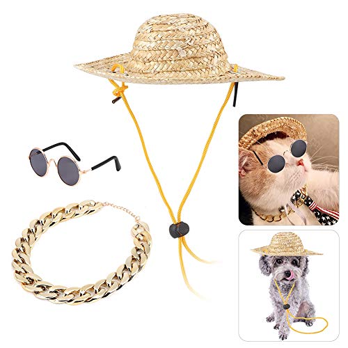 Disfraz para perro y gato 3 piezas con accesorios retro