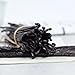 10 Madagascar Vanilla Beans-Whole Pods Grade A for Vanilla Extract And Homemade Baking 4''-6''(Pack of 1)